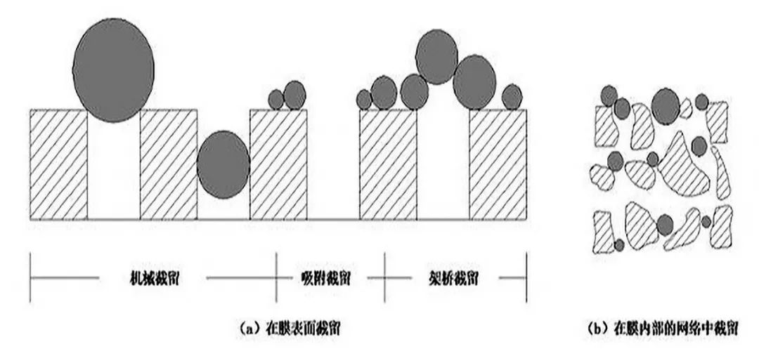 微濾技術原理